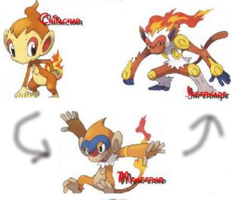chimchar evolution chart|when does chimchar learn mach punch.